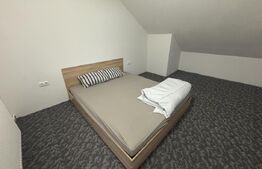 Casa de vanzare, 6 camere, 190 mp + teren de 5.000 mp - Carastelec