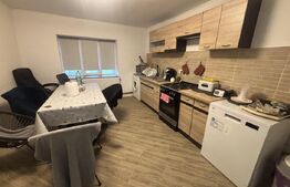 Casa de vanzare, 6 camere, 190 mp + teren de 5.000 mp - Carastelec
