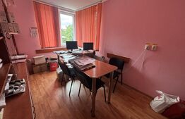 Casa + Spatiu comercial, 566 mp - in Bradet
