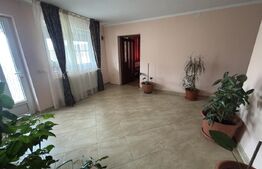 Casa + Spatiu comercial, 566 mp - in Bradet