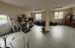 Casa + Spatiu comercial, 566 mp - in Bradet