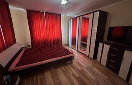 Casa + Spatiu comercial, 566 mp - in Bradet