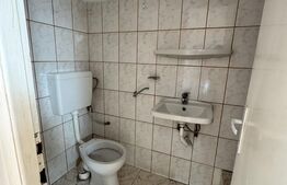 Casă de vânzare – oportunitate excelentă pentru investiție