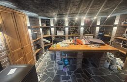 Casa tip pensiune, ideala pentru dezvoltare, 9 camere, 380 mp-Simleu SIlvaniei