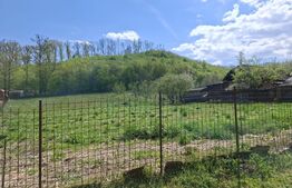De vânzare casă în Jibou, cu teren de 70 ari