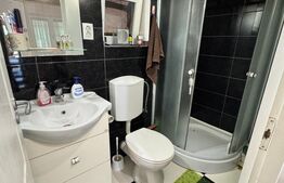 De vânzare casă în Jibou, cu teren de 70 ari