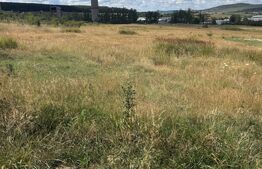 Teren intravilan de vanzare, cartier Dumbrava Nord