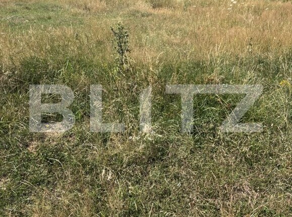 Teren de vânzare Nord - 200434TV | BLITZ Zalău | Poza3