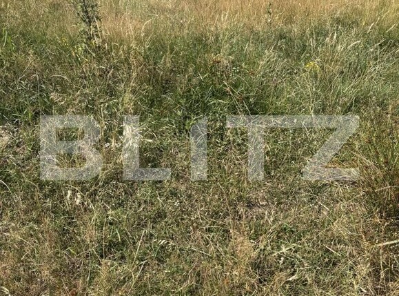 Teren de vânzare Nord - 200434TV | BLITZ Zalău | Poza2