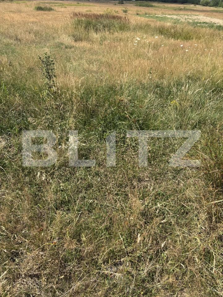Teren de vânzare Nord - 200434TV | BLITZ Zalău | Poza2
