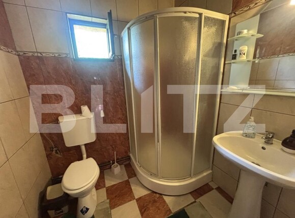 Casa de vânzare 5 camere Brebi - 200448CV | BLITZ Zalău | Poza3