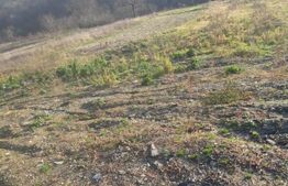 Teren intravilan de vanzare, cu proiect pentru casa