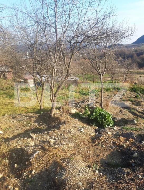 Teren de vânzare Moigrad-Porolissum - 201004TV | BLITZ Zalău | Poza3
