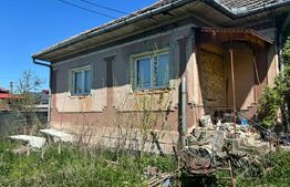 Casa de vanzare, cu 12 ari de teren, in Balan
