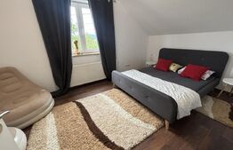 Casa de vanzare, 186 mp, 16 ari de teren, zona Aghires