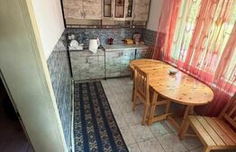 Casă individuală de vânzare cu curte proprie, Comuna Ileanda, Sălaj