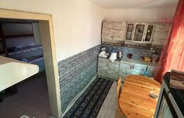 Casă individuală de vânzare cu curte proprie, Comuna Ileanda, Sălaj