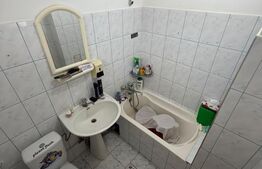 Casă individuală de vânzare cu curte proprie, Comuna Ileanda, Sălaj