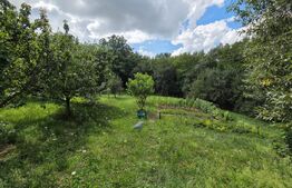 Casă individuală de vânzare cu grădină și curte, Comuna Cișeni, Gârcei