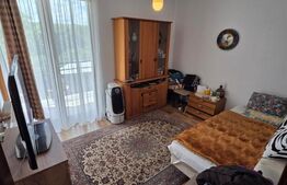 Casă individuală de vânzare cu grădină și curte, Comuna Cișeni, Gârcei