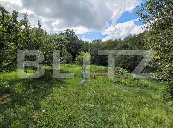 Casa de vânzare 5 camere Garceiu - 201473CV | BLITZ Zalău | Poza21