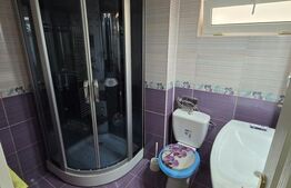 Apartament de vânzare cu 3 camere, open space, Brădet
