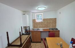 Apartament de vânzare cu 3 camere, open space, Brădet