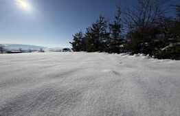 Teren intravilan, 1000 mp, zona Treznea