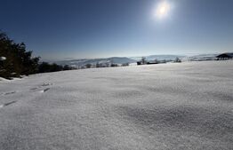 Teren intravilan, 1000 mp, zona Treznea