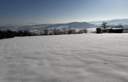 Teren intravilan, 1000 mp, zona Treznea