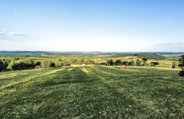 Teren intravilan, 1000 mp, zona Treznea