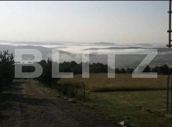 Teren de vânzare Romanasi - 202420TV | BLITZ Zalău | Poza5