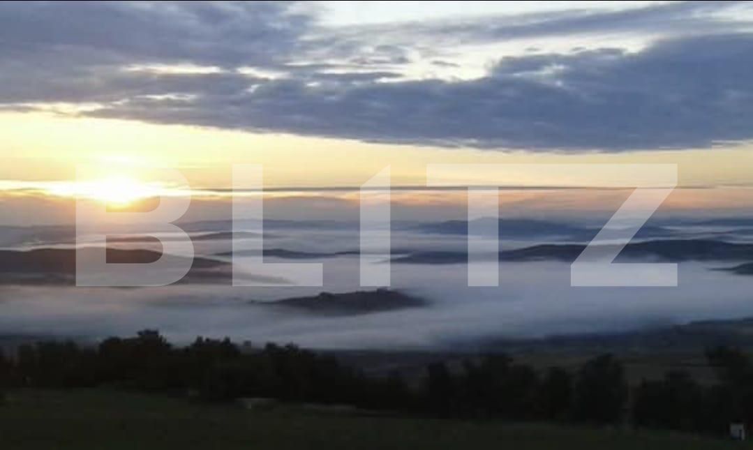 Teren de vânzare Romanasi - 202420TV | BLITZ Zalău | Poza2