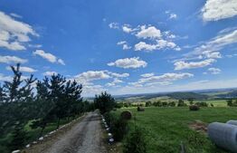 Teren intravilan, 1000 mp, zona Treznea