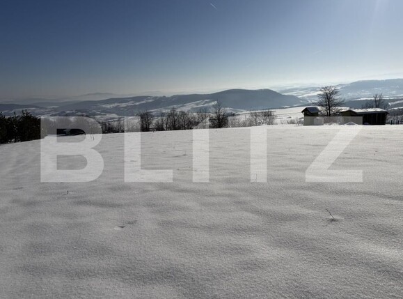 Teren de vânzare Romanasi - 202421TV | BLITZ Zalău | Poza3