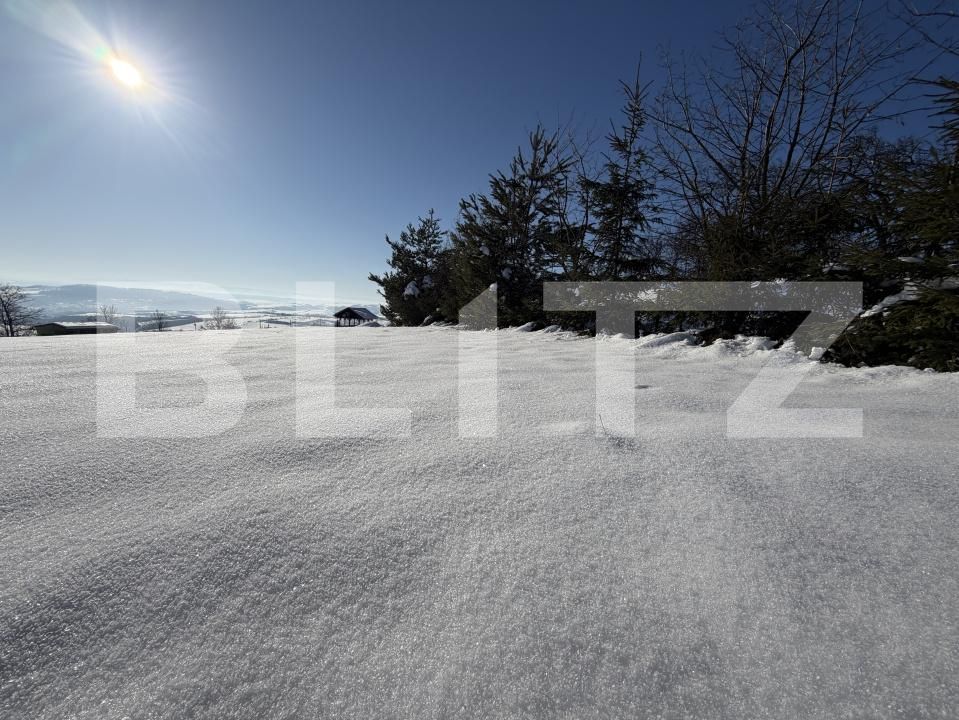 Teren de vânzare Romanasi - 202421TV | BLITZ Zalău | Poza4