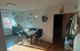 Apartament de vânzare, 49 mp, zona Ultracentrală 