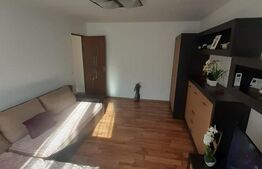 Apartament de vânzare, 49 mp, zona Ultracentrală 
