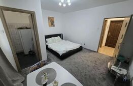 Garsonieră de vânzare, 28 mp, zona Centru