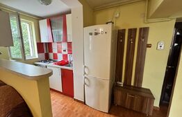 Apartament 2 camere de închiriat, 39 mp, zona Sfânta Vineri