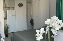 Apartament cu 1 camera de inchiriat, 30 mp, zona Bradet
