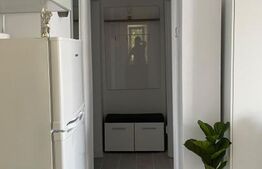 Apartament cu 1 camera de inchiriat, 30 mp, zona Bradet