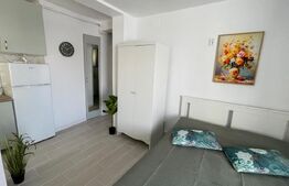 Apartament cu 1 camera de inchiriat, 30 mp, zona Bradet