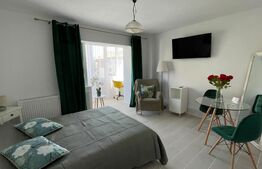 Apartament cu 1 camera de inchiriat, 30 mp, zona Bradet