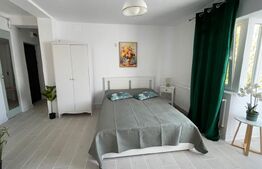 Apartament cu 1 camera de inchiriat, 30 mp, zona Bradet