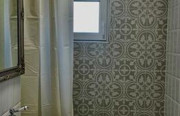 Apartament cu 1 camera de inchiriat, 30 mp, zona Bradet