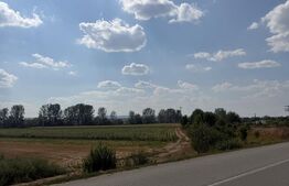 Teren extravilan, 9000 mp, zona Nusfalau