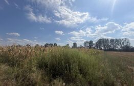 Teren extravilan, 9000 mp, zona Nusfalau
