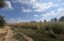 Teren extravilan, 9000 mp, zona Nusfalau