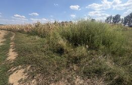 Teren extravilan, 9000 mp, zona Nusfalau